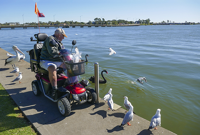 Feeding The Birds by Jan Paatsch